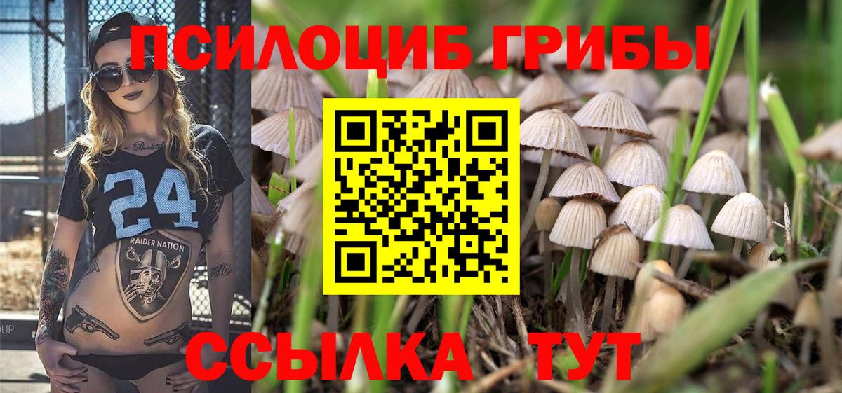 Галлюциногенные грибы Psilocybine cubensis Бийск